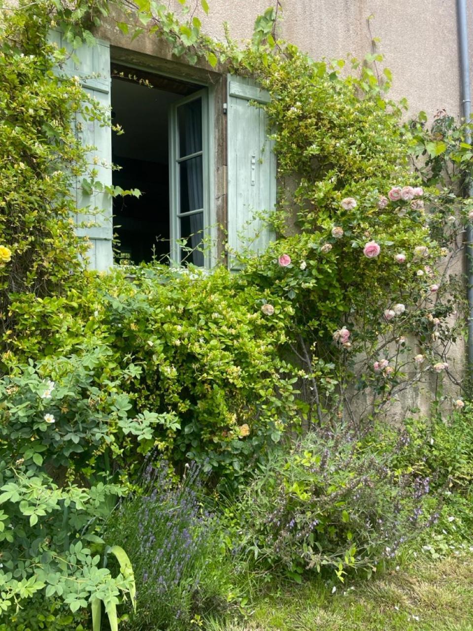 Chez Katia Otel Semur-en-Auxois Dış mekan fotoğraf